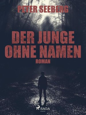 cover image of Der Junge ohne Namen